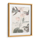 Colibríes Blandos I - Studio W | Cuadro decorativo de Canvas Lab