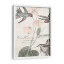 Colibríes Blandos I - Studio W | Cuadro decorativo de Canvas Lab
