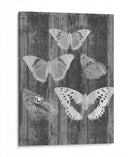 Tabla De Mariposa Rústica Ii - Jennifer Goldberger | Cuadro decorativo de Canvas Lab