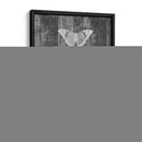 Tabla De Mariposa Rústica Ii - Jennifer Goldberger | Cuadro decorativo de Canvas Lab