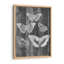 Tabla De Mariposa Rústica Ii - Jennifer Goldberger | Cuadro decorativo de Canvas Lab