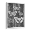 Tabla De Mariposa Rústica Ii - Jennifer Goldberger | Cuadro decorativo de Canvas Lab