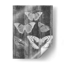 Tabla De Mariposa Rústica Ii - Jennifer Goldberger | Cuadro decorativo de Canvas Lab