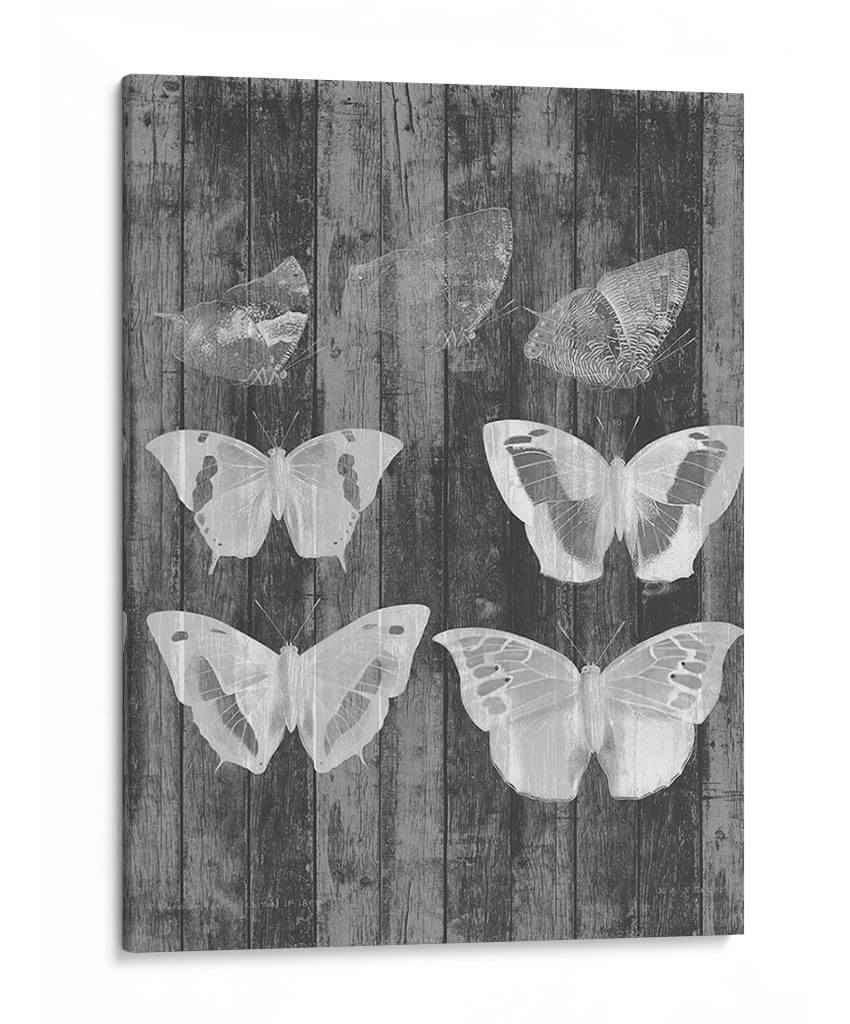 Carta De Mariposa Rústica Iii - Jennifer Goldberger | Cuadro decorativo de Canvas Lab