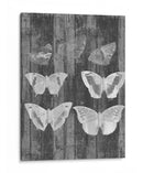 Carta De Mariposa Rústica Iii - Jennifer Goldberger | Cuadro decorativo de Canvas Lab