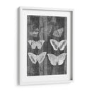 Carta De Mariposa Rústica Iii - Jennifer Goldberger | Cuadro decorativo de Canvas Lab