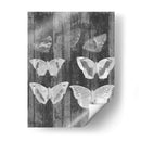 Carta De Mariposa Rústica Iii - Jennifer Goldberger | Cuadro decorativo de Canvas Lab