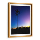 Palmera de noche - Rodrigo Zabal | Cuadro decorativo de Canvas Lab