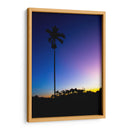 Palmera de noche - Rodrigo Zabal | Cuadro decorativo de Canvas Lab