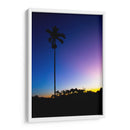 Palmera de noche - Rodrigo Zabal | Cuadro decorativo de Canvas Lab
