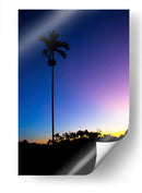 Palmera de noche - Rodrigo Zabal | Cuadro decorativo de Canvas Lab