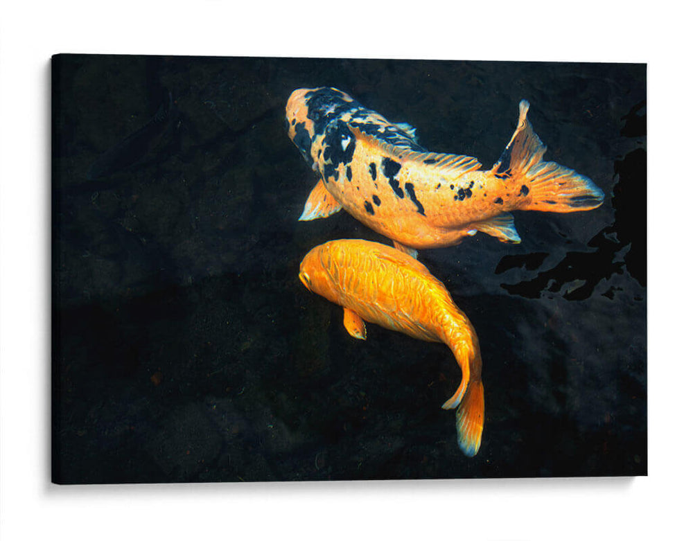 Peces Koi - Rodrigo Zabal | Cuadro decorativo de Canvas Lab