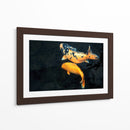 Peces Koi - Rodrigo Zabal | Cuadro decorativo de Canvas Lab