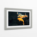 Peces Koi - Rodrigo Zabal | Cuadro decorativo de Canvas Lab