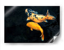 Peces Koi - Rodrigo Zabal | Cuadro decorativo de Canvas Lab