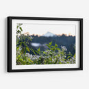 Plantas y montaña - Rodrigo Zabal | Cuadro decorativo de Canvas Lab