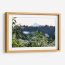 Plantas y montaña - Rodrigo Zabal | Cuadro decorativo de Canvas Lab