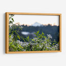 Plantas y montaña - Rodrigo Zabal | Cuadro decorativo de Canvas Lab