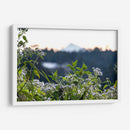 Plantas y montaña - Rodrigo Zabal | Cuadro decorativo de Canvas Lab