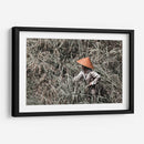 Siembra de arroz - Rodrigo Zabal | Cuadro decorativo de Canvas Lab