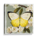 Rama De Mariposa I - Victoria Borges | Cuadro decorativo de Canvas Lab