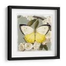 Rama De Mariposa I - Victoria Borges | Cuadro decorativo de Canvas Lab