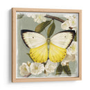 Rama De Mariposa I - Victoria Borges | Cuadro decorativo de Canvas Lab