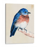 Pajarito En La Rama I - Jennifer Paxton Parker | Cuadro decorativo de Canvas Lab