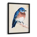 Pajarito En La Rama I - Jennifer Paxton Parker | Cuadro decorativo de Canvas Lab