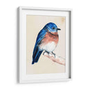 Pajarito En La Rama I - Jennifer Paxton Parker | Cuadro decorativo de Canvas Lab