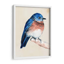 Pajarito En La Rama I - Jennifer Paxton Parker | Cuadro decorativo de Canvas Lab