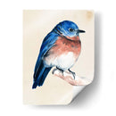 Pajarito En La Rama I - Jennifer Paxton Parker | Cuadro decorativo de Canvas Lab