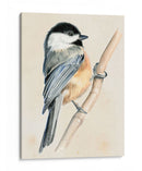 Pajarito En La Rama Ii - Jennifer Paxton Parker | Cuadro decorativo de Canvas Lab