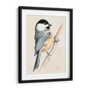 Pajarito En La Rama Ii - Jennifer Paxton Parker | Cuadro decorativo de Canvas Lab