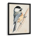 Pajarito En La Rama Ii - Jennifer Paxton Parker | Cuadro decorativo de Canvas Lab