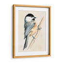 Pajarito En La Rama Ii - Jennifer Paxton Parker | Cuadro decorativo de Canvas Lab