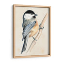 Pajarito En La Rama Ii - Jennifer Paxton Parker | Cuadro decorativo de Canvas Lab