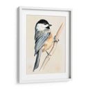 Pajarito En La Rama Ii - Jennifer Paxton Parker | Cuadro decorativo de Canvas Lab