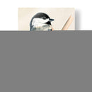 Pajarito En La Rama Ii - Jennifer Paxton Parker | Cuadro decorativo de Canvas Lab