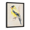 Pajarito En La Rama Iii - Jennifer Paxton Parker | Cuadro decorativo de Canvas Lab