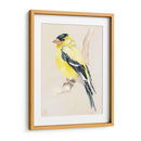 Pajarito En La Rama Iii - Jennifer Paxton Parker | Cuadro decorativo de Canvas Lab
