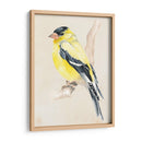 Pajarito En La Rama Iii - Jennifer Paxton Parker | Cuadro decorativo de Canvas Lab