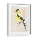 Pajarito En La Rama Iii - Jennifer Paxton Parker | Cuadro decorativo de Canvas Lab