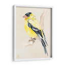 Pajarito En La Rama Iii - Jennifer Paxton Parker | Cuadro decorativo de Canvas Lab