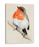 Pajarito En La Rama Iv - Jennifer Paxton Parker | Cuadro decorativo de Canvas Lab