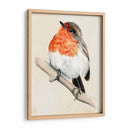 Pajarito En La Rama Iv - Jennifer Paxton Parker | Cuadro decorativo de Canvas Lab