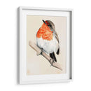 Pajarito En La Rama Iv - Jennifer Paxton Parker | Cuadro decorativo de Canvas Lab