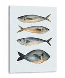 Cuatro Peces I - Emma Scarvey | Cuadro decorativo de Canvas Lab