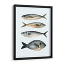 Cuatro Peces I - Emma Scarvey | Cuadro decorativo de Canvas Lab