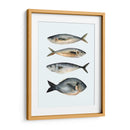 Cuatro Peces I - Emma Scarvey | Cuadro decorativo de Canvas Lab